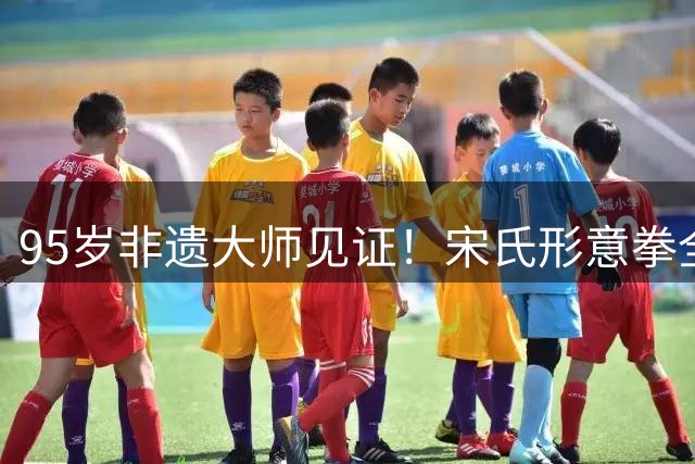 95岁非遗大师见证！宋氏形意拳全球传播迎来新篇章